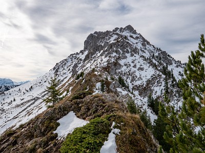 DCLDLUX8-20251031-1001961