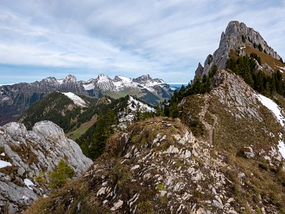 DCLDLUX8-20251031-1001962