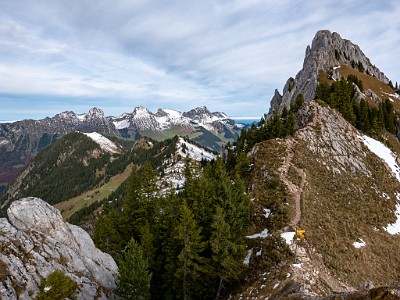 DCLDLUX8-20251031-1001963