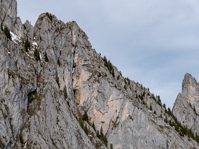 DCLDLUX8-20251031-1001966