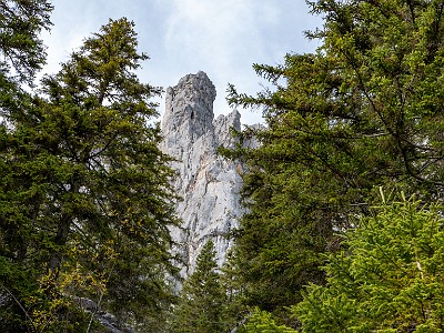 DCLDLUX8-20251031-1001969