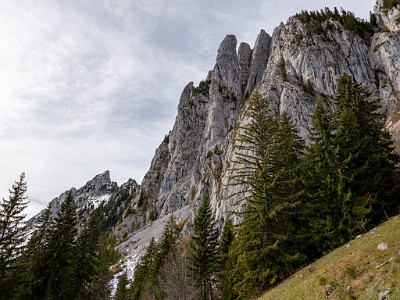 DCLDLUX8-20251031-1001970