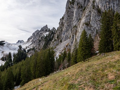 DCLDLUX8-20251031-1001972