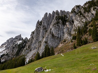 DCLDLUX8-20251031-1001973