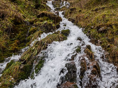 DCLDLUX8-20251031-1001980