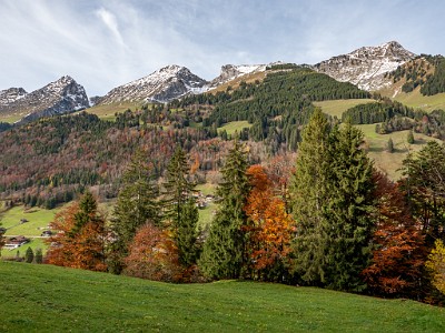 DCLDLUX8-20251031-1001981