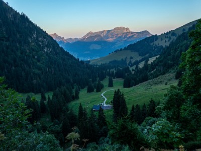 DCCG1X-20250812-1737