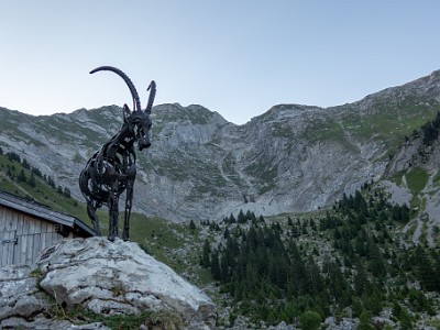 DCCG1X-20250812-1741