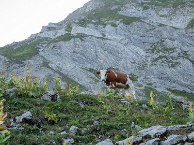 DCCG1X-20250812-1743