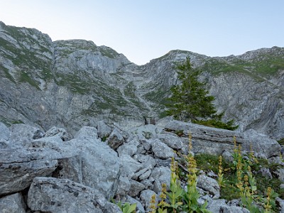 DCCG1X-20250812-1745