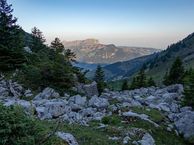 DCCG1X-20250812-1747