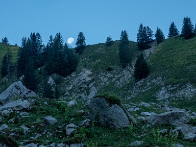 DCCG1X-20250812-1750