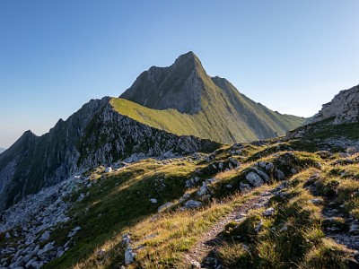 DCCG1X-20250812-1766