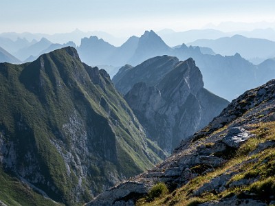 DCCG1X-20250812-1771