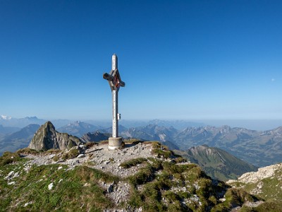 DCCG1X-20250812-1786