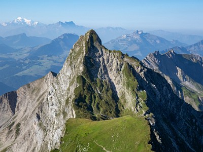 DCCG1X-20250812-1790