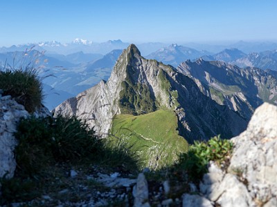 DCCG1X-20250812-1791