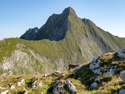 DCCG1X-20250812-1798