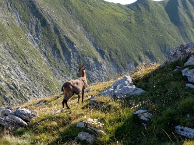 DCCG1X-20250812-1801