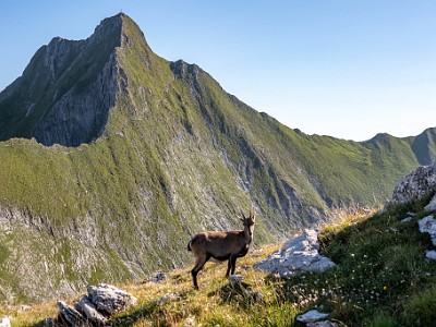 DCCG1X-20250812-1809