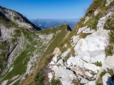 DCCG1X-20250812-1819