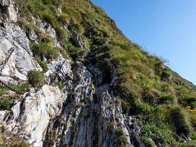 DCCG1X-20250812-1821