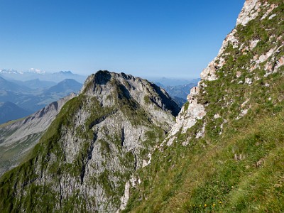 DCCG1X-20250812-1826