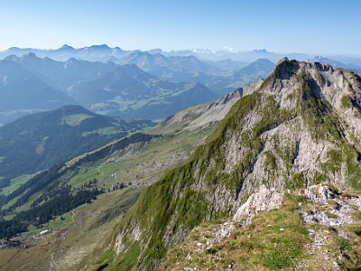 DCCG1X-20250812-1834