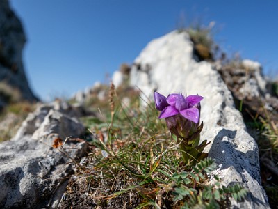 DCCG1X-20250812-1838