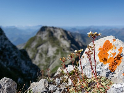 DCCG1X-20250812-1845