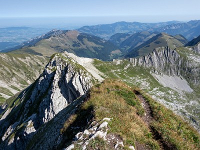 DCCG1X-20250812-1846