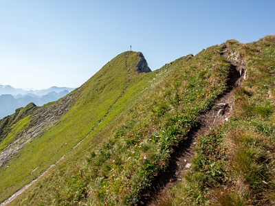 DCCG1X-20250812-1847