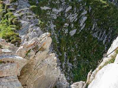 DCCG1X-20250812-1848