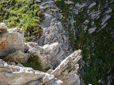 DCCG1X-20250812-1849