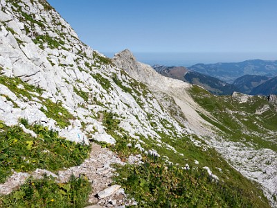 DCCG1X-20250812-1850