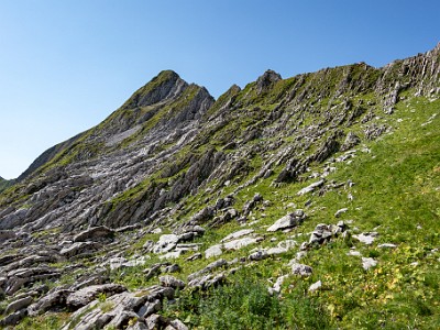 DCCG1X-20250812-1851