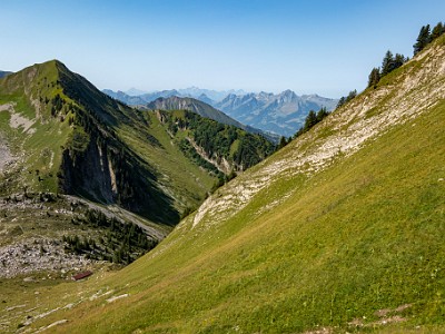 DCCG1X-20250812-1856