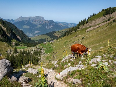 DCCG1X-20250812-1860