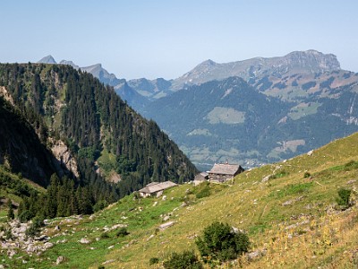 DCCG1X-20250812-1861