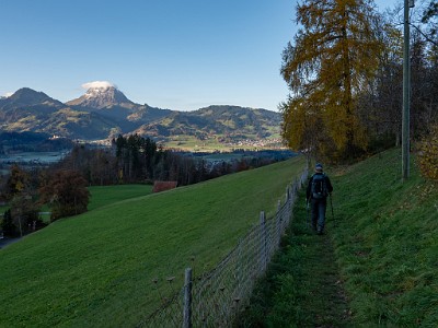 DCLDLUX8-20251108-1001983