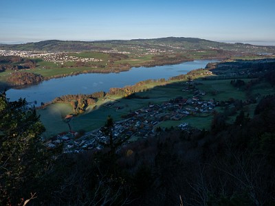 DCLDLUX8-20251108-1001985