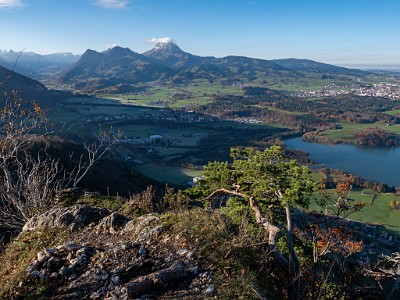 Vanil des Cours (2025-11-08)