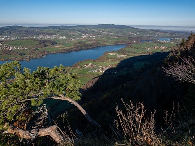 DCLDLUX8-20251108-1001987