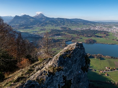 DCLDLUX8-20251108-1001989