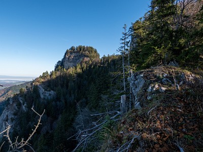 DCLDLUX8-20251108-1001990