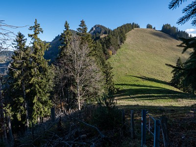 DCLDLUX8-20251108-1001991