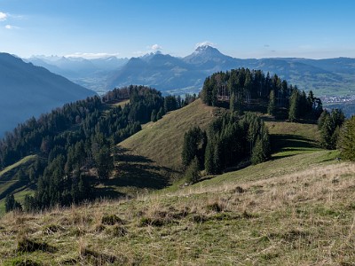 DCLDLUX8-20251108-1001992