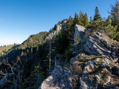 DCLDLUX8-20251108-1001993