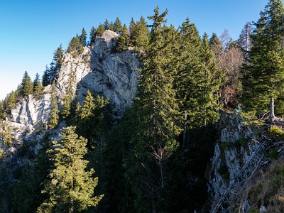 DCLDLUX8-20251108-1001994