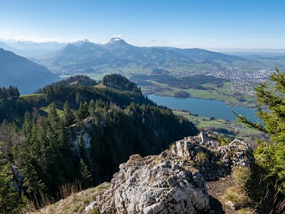 DCLDLUX8-20251108-1001996